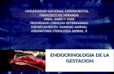 Endocrinologia de la gestacion
