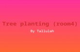 Tallulah's powerpoint on tree planting