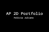 Ap 2 d portfolio2