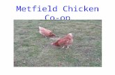 Metfield Chicken Coop Part 2