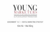 Elite assigment 2   digital marketing strategy - mai bang kim ha