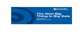 The Next Big Thing in Big Data