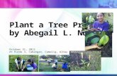 Plant a Tree Project by Abegail L. Nuyles