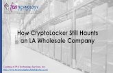 How CryptoLocker Still Haunts an LA Wholesale Company (SlideShare)