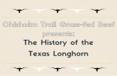 The History of the Texas Longhorn