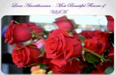 Lena Amerkhanian - Most Beautiful Flowers of USA