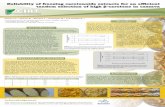 Poster16: Reliability of freezing carotenoids extracts for an efficient tandem selection of high B-carotene in cassava