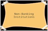 Non-Banking Institutions