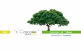 Tri Cascade Company Overview