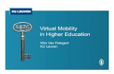 Virtual mobility