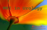 Mri in urology