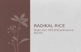 Radikal Rice final Ideas