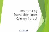 Training FUTURUM : Restructuring Transactions under Common Control