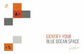 Identifying your Blue Ocean Space