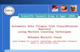 Automatic Nile Tilapia Fish Classiﬁcation Approachusing Machine Learning Techniques