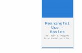 Meaningful Use Basics for Healthcare Professionals and Organizations