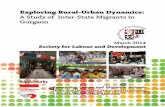 Exploring Rural-Urban Dynamics: A Study of Inter-State Migrants in Gurgaon