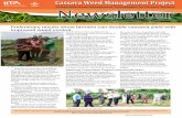 Cassava Weed Management Project June Newsletter 004