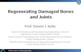 Regenerating Damaged Bones and Joints