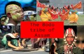 A study of the local tribes of Assam - Bodo under ISA by the students of SBGJ