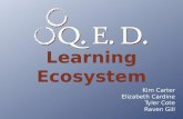 QED Learning Ecosystem