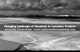 Copy of The Changing Landscape of Chemicals in Consumer Products