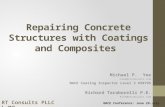 NACE Concrete Composite