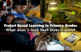 Project Based Learning in Primary Grades