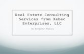 Real estate consulting services from xebec enterprises, llc