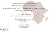 The Future of Development: Private-NGO Partnerships?