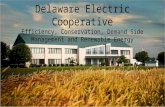 Focus on the Coast: Mitigating Climate Change at the Local Level: Delaware Electric Cooperative