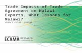 Trade Impacts of Trade Agreement on Malawi Exports. What Lessons for Malawi?