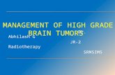 Management of high grade Brain Tumors