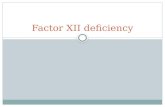 Factor xii deficiency
