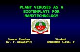 Plant viruses as biotemplates by faisal