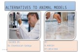 ALTERNATIVES TO ANIMAL MODELS