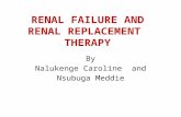 Renal failure and renal replacement  therapy
