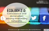 Ecology 2.0: Coexistence and domination among interacting networks