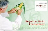 Hair-transplant-in-bangalore|cost of hair transplant in bangalore