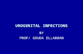 Urogenital infections