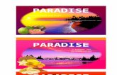PARADISE CEREAL BARS THE FINAL DESIGN
