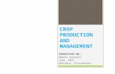 Crop  Production & Management
