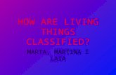 How are living things classified?