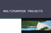 Multipurpose projects