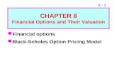 Fm11 ch 08 financial options and their valuation
