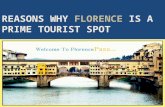 Reason why florence italy tours