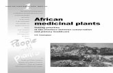 African medicinal-plants-setting-priorities-at-the-interface-between-conservation-primary-health-care