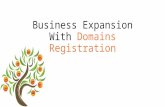 Business Expansion With Domain Registration