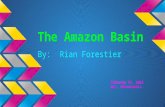 Amazon basin project