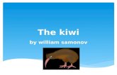 The kiwi presentation